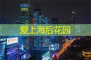 探寻上海后花园：用心感受城市中的绿色奇迹！