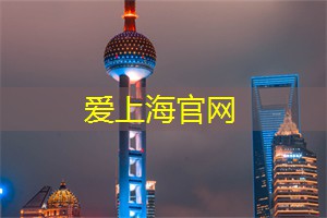 上海夜晚灯火辉煌，独具魅力的夜景赏析